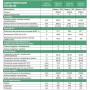 Caldaia a condensazione Ariston Genus One 30 kW ErP a metano o gpl