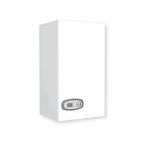 Caldaia Ferroli a gas camera aperta Divatech D LN 30 C kW ErP Metano o Gpl