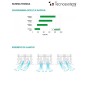 Tecnosystemi Diffusore Lineare con serranda a 2 Feritoie in Alluminio verniciato bianco L.600 PWD301616